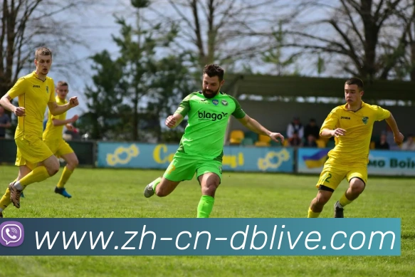 多媒体互动体验