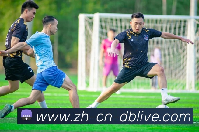 DB真人APP 高清赛事图